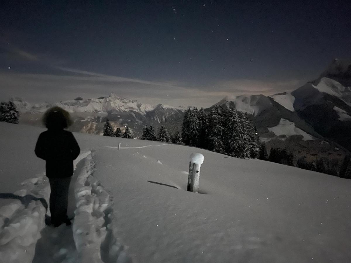 Chalet Chanso Morgins Exterior photo